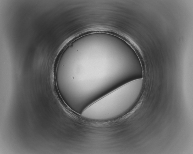 X0000116430837200912081219