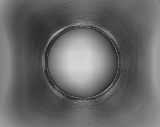 X0000116430838200912081219