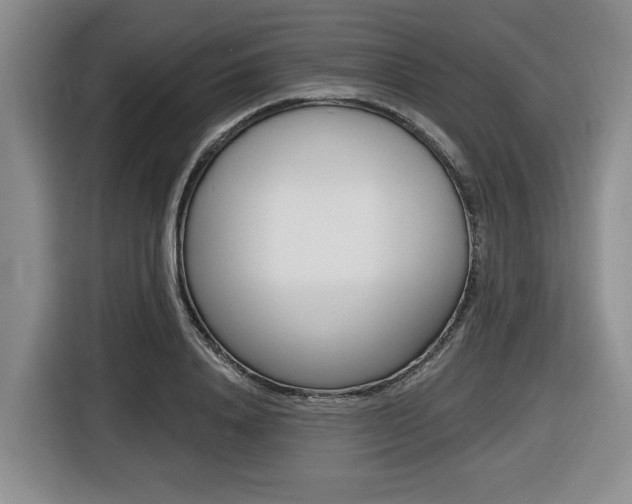X0000116430840200912081219