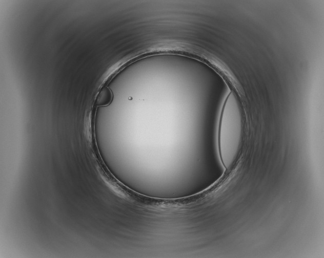 X0000116430842200912081219