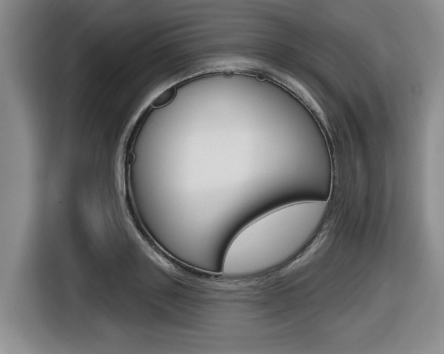 X0000116430843200912081219