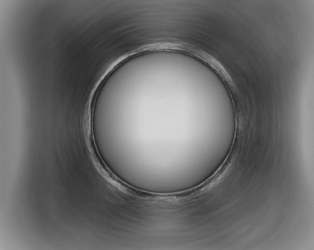 X0000116430844200912081219