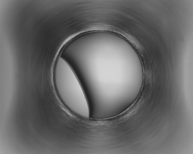 X0000116430846200912081219