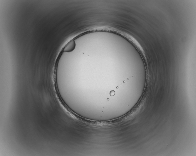 X0000116430847200912081219