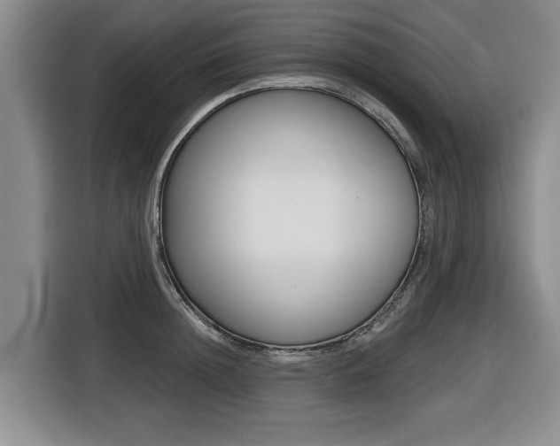 X0000116430852200912081219