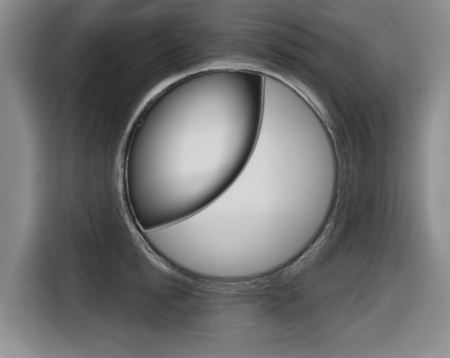 X0000116430854200912081219