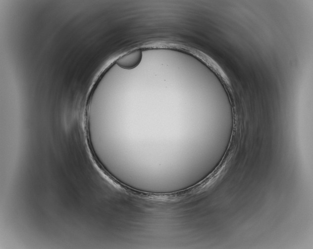 X0000116430855200912081219