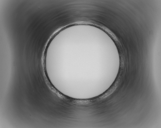 X0000116430856200912081219