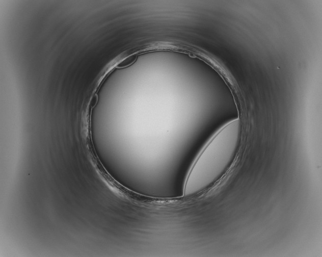 X0000116430858200912081219