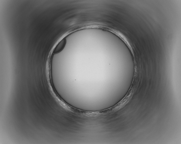 X0000116430859200912081219