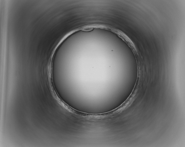 X0000116430860200912081219