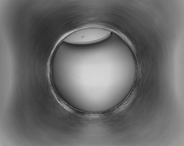 X0000116430862200912081219