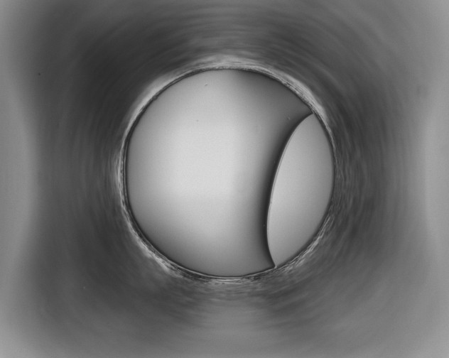 X0000116430863200912081219