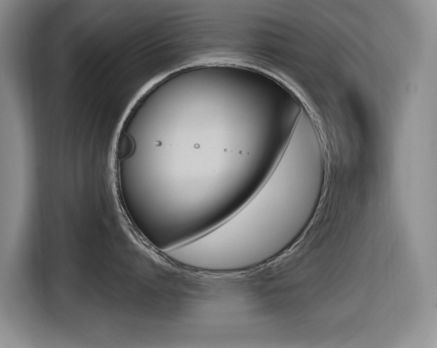 X0000116430864200912081219