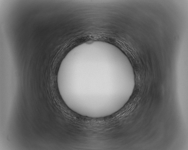 X0000116430865200912081218