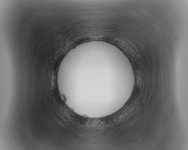 X0000116430866200912081218