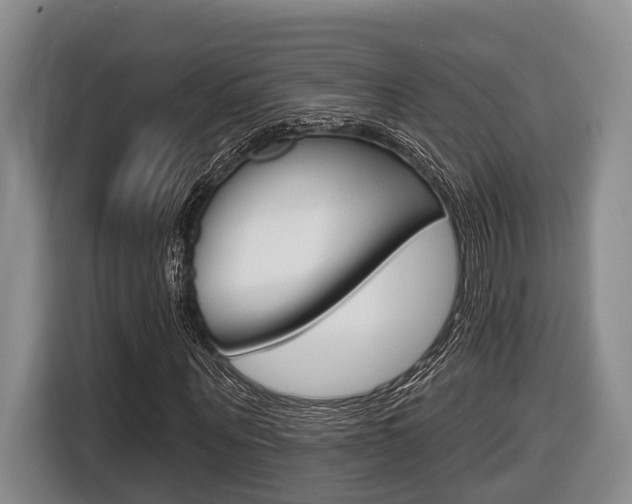X0000116430867200912081218