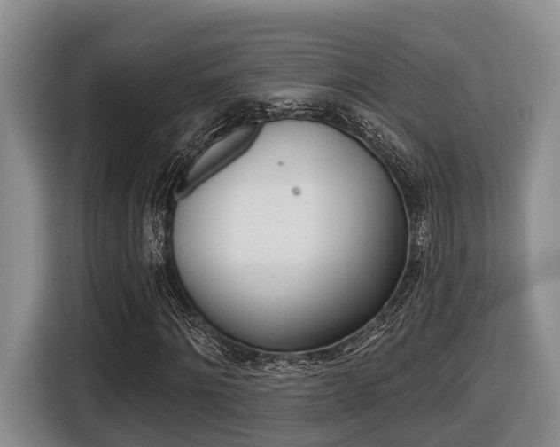X0000116430868200912081218