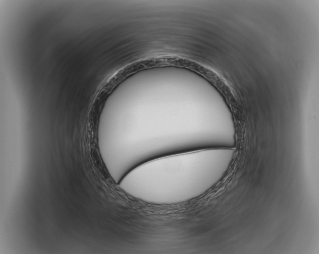X0000116430871200912081218