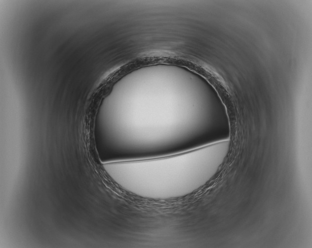 X0000116430872200912081218