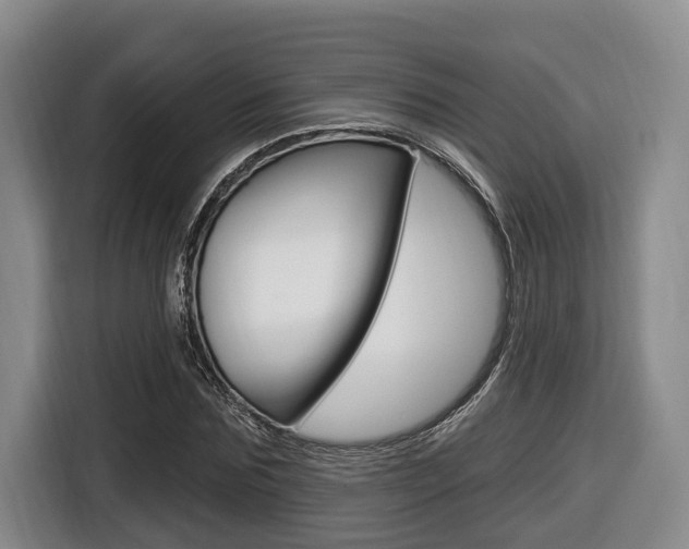 X0000116430875200912081218