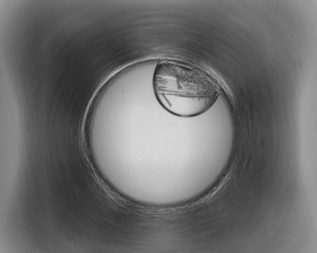 X0000116430876200912081218