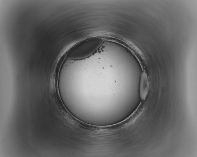X0000116430877200912081218