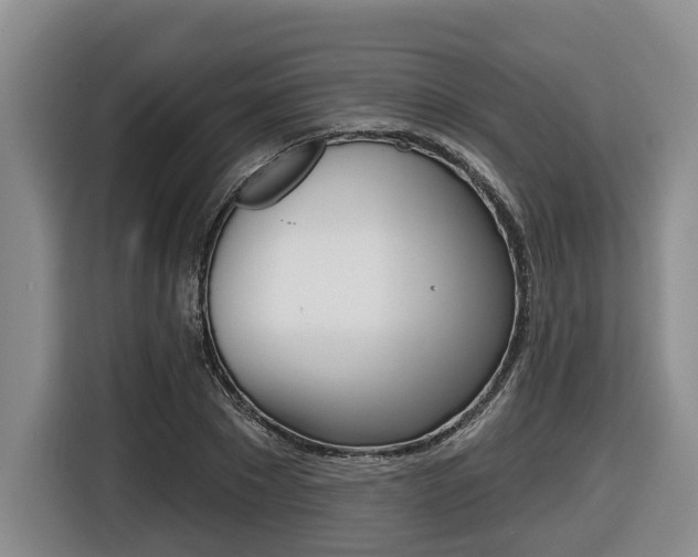 X0000116430881200912081218