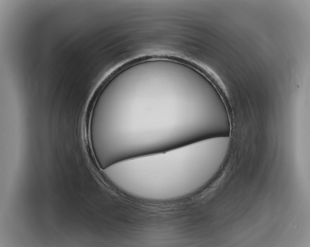 X0000116430887200912081218