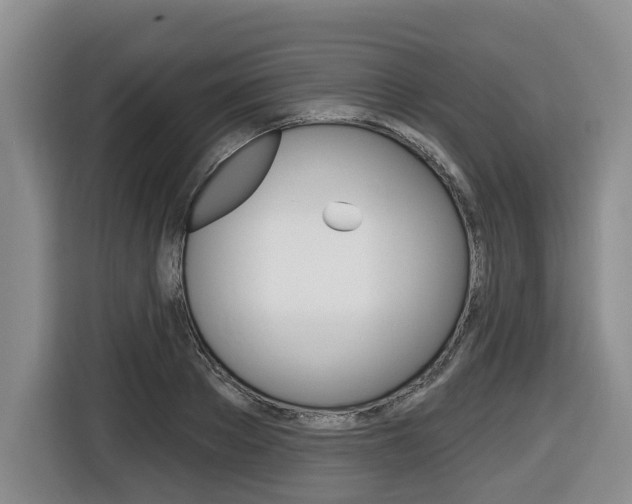 X0000116430889200912081218
