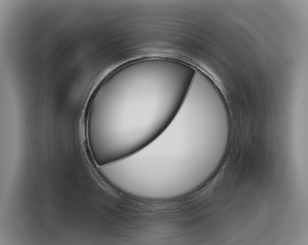 X0000116430891200912081218