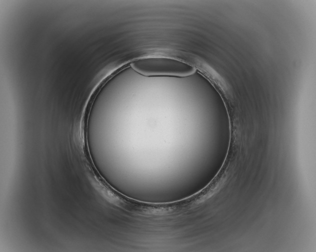 X0000116430892200912081218