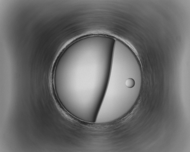 X0000116430895200912081218