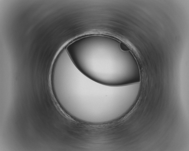 X0000116430896200912081218