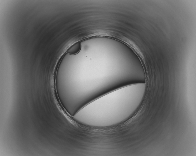 X0000116430898200912081218