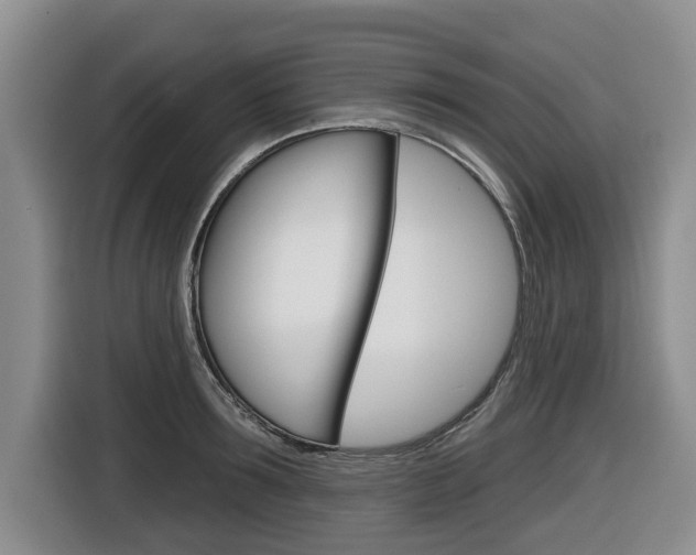 X0000116430899200912081218