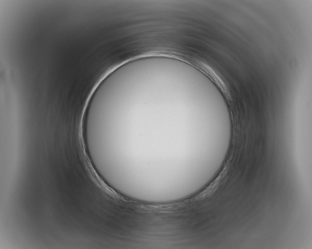 X0000116430900200912081218