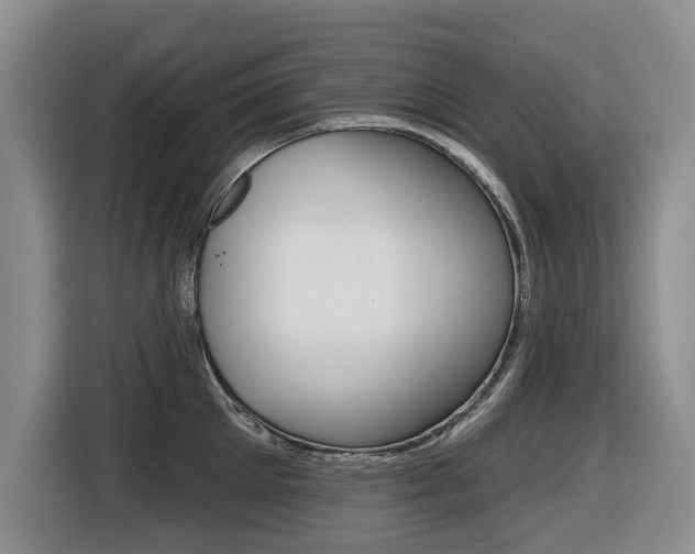 X0000116430905200912081218