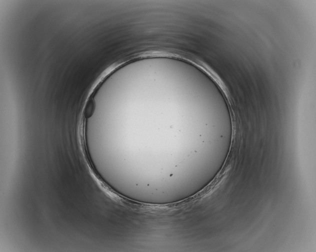 X0000116430909200912081218