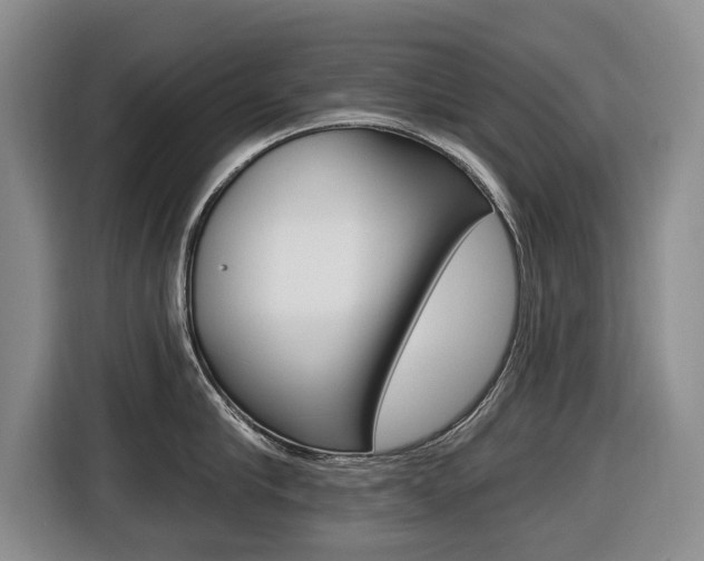 X0000116430910200912081218