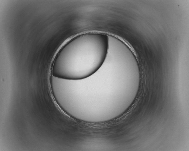X0000116430911200912081218