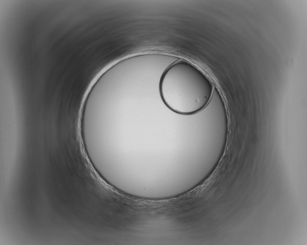 X0000116430912200912081218