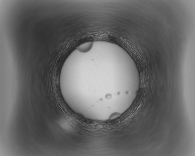 X0000116430913200912081217