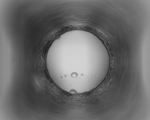 X0000116430917200912081217