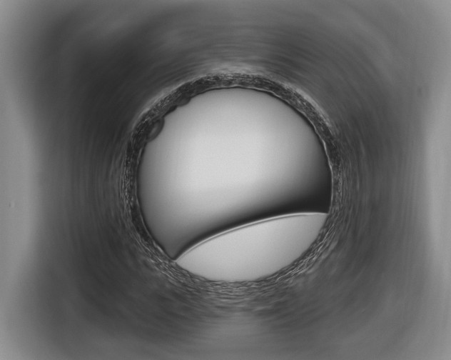 X0000116430919200912081217