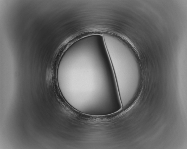 X0000116430922200912081217