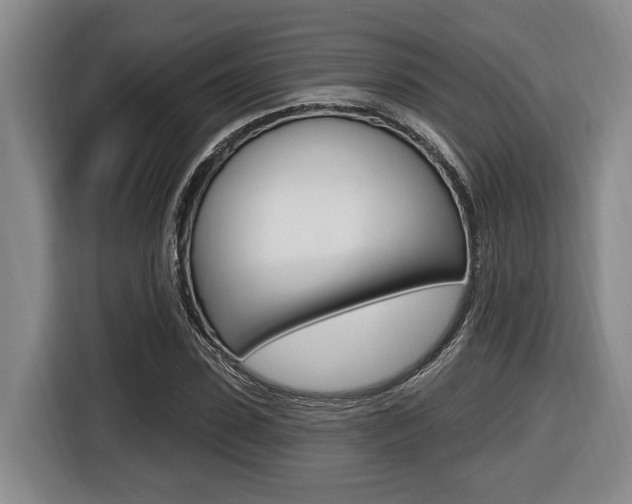X0000116430923200912081217