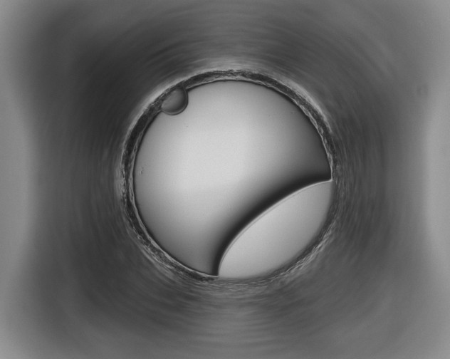 X0000116430927200912081217
