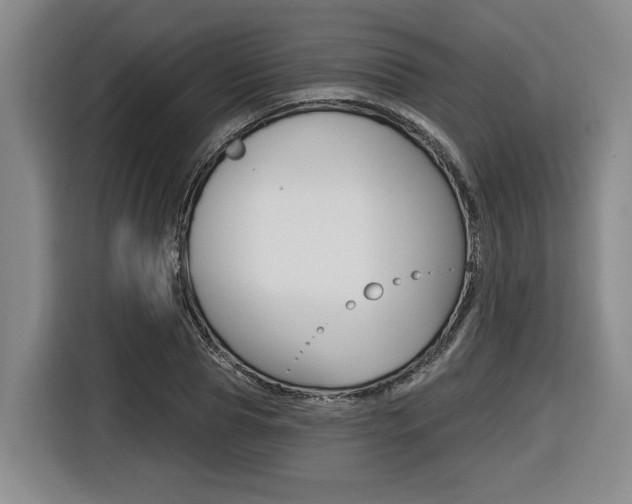 X0000116430929200912081217