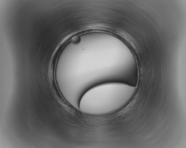 X0000116430931200912081217